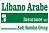 Libano-Arab Insurance and Reinsurance sal